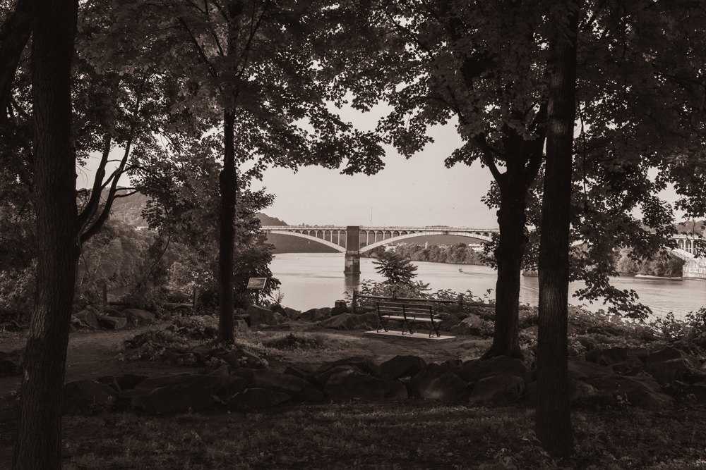 Bridge through trees, black and white