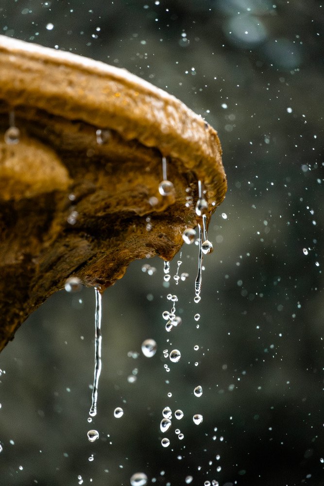 Water droplets falling from a fountain, macro